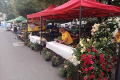 XXI. Kiskunfélegyházi Libafesztivál 2019.