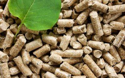 A fa pellet készítés folyamata
