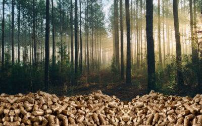 fa pellet bemutató okosgrill